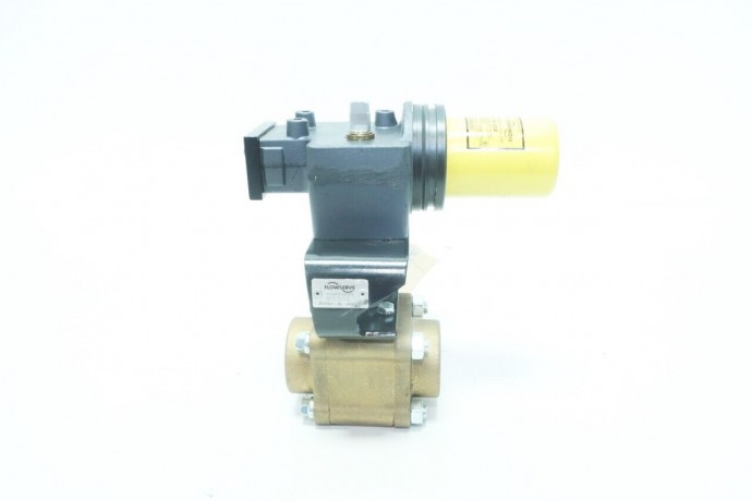 MK539 FLOWSERVE