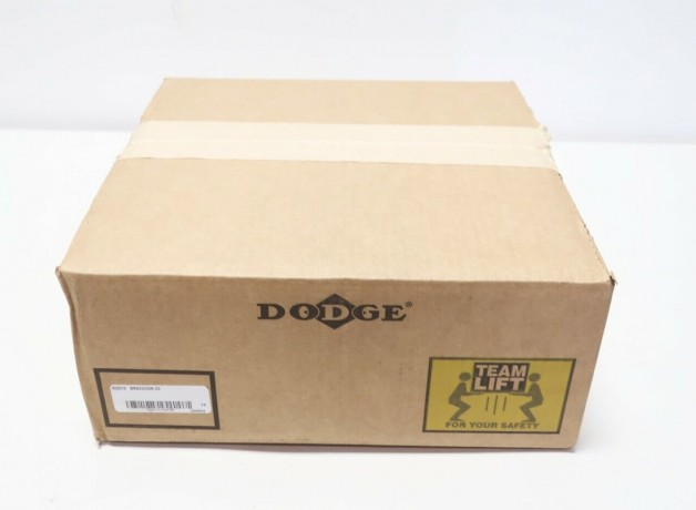 422019 DODGE