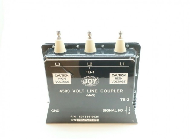 601555-0025 JOY